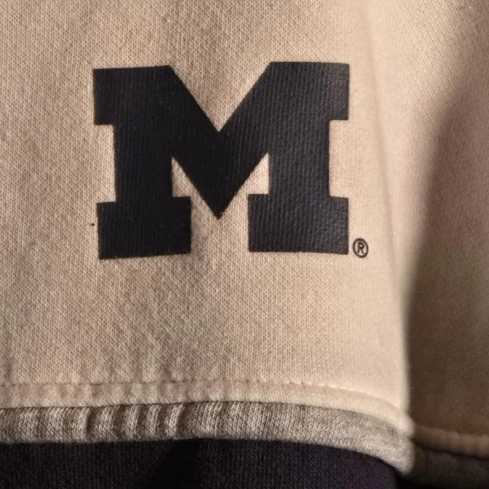 Champion University of Michigan‎ Wolverines Sweatshirt Men L Colorblock Vntg 312